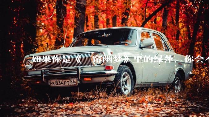 如果你是《一帘幽梦》里的绿萍，你会不会最后原谅紫菱？