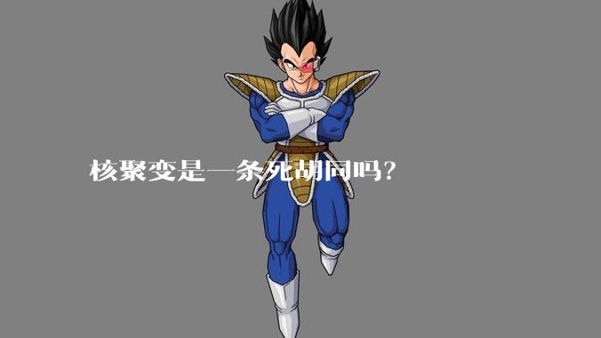 核聚变是一条死胡同吗？