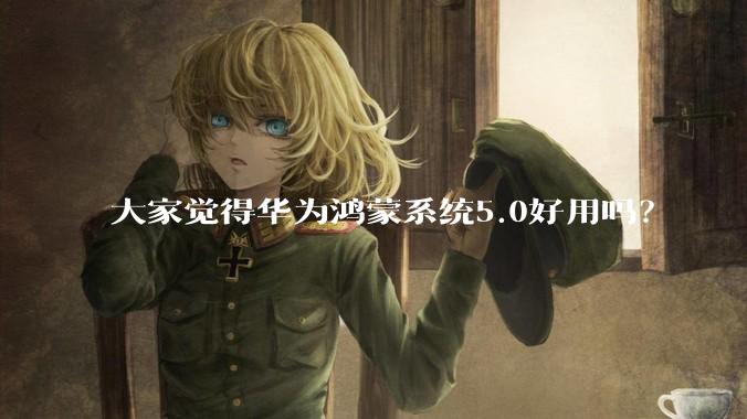 大家觉得华为鸿蒙系统5.0好用吗？