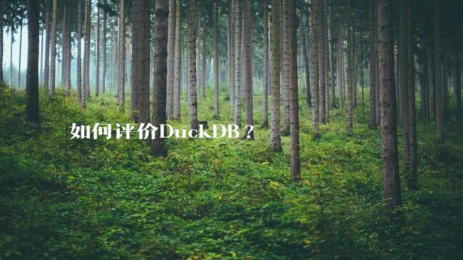 如何评价DuckDB?