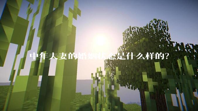 中年夫妻的婚姻状态是什么样的？