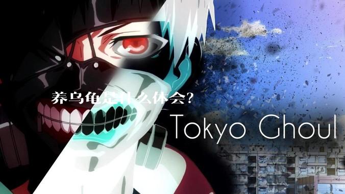 养乌龟是什么体会？