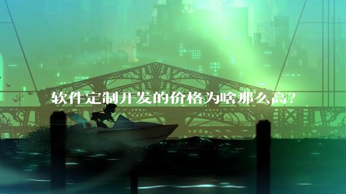 软件定制开发的价格为啥那么高？